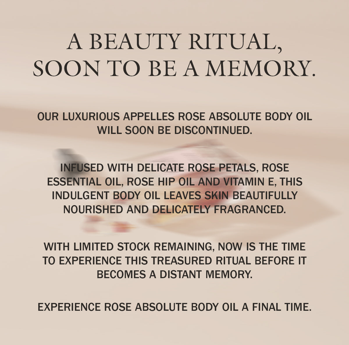 Rose Absolute Body Oil