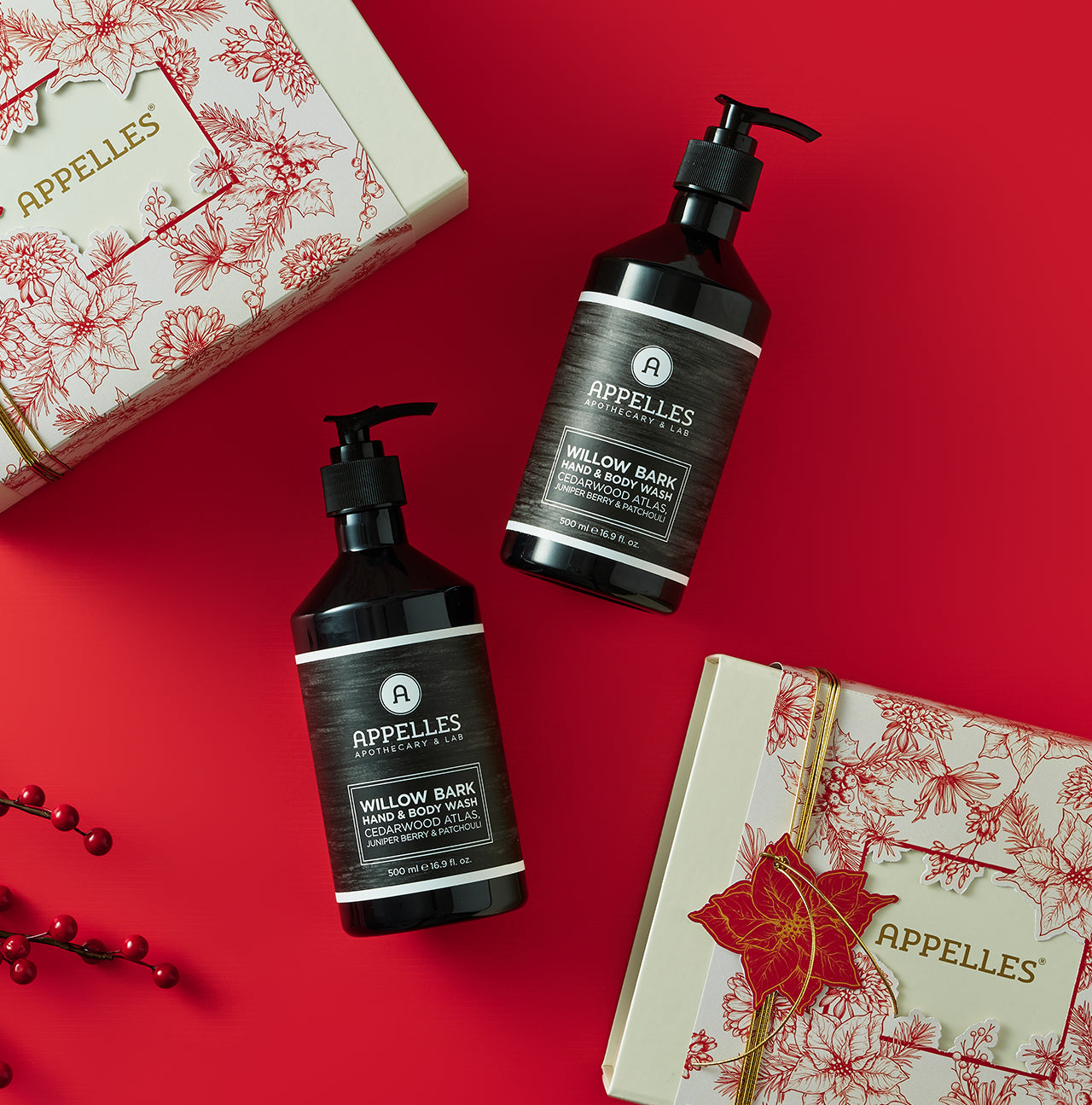 Hand & Body Wash Duo | Willow Bark