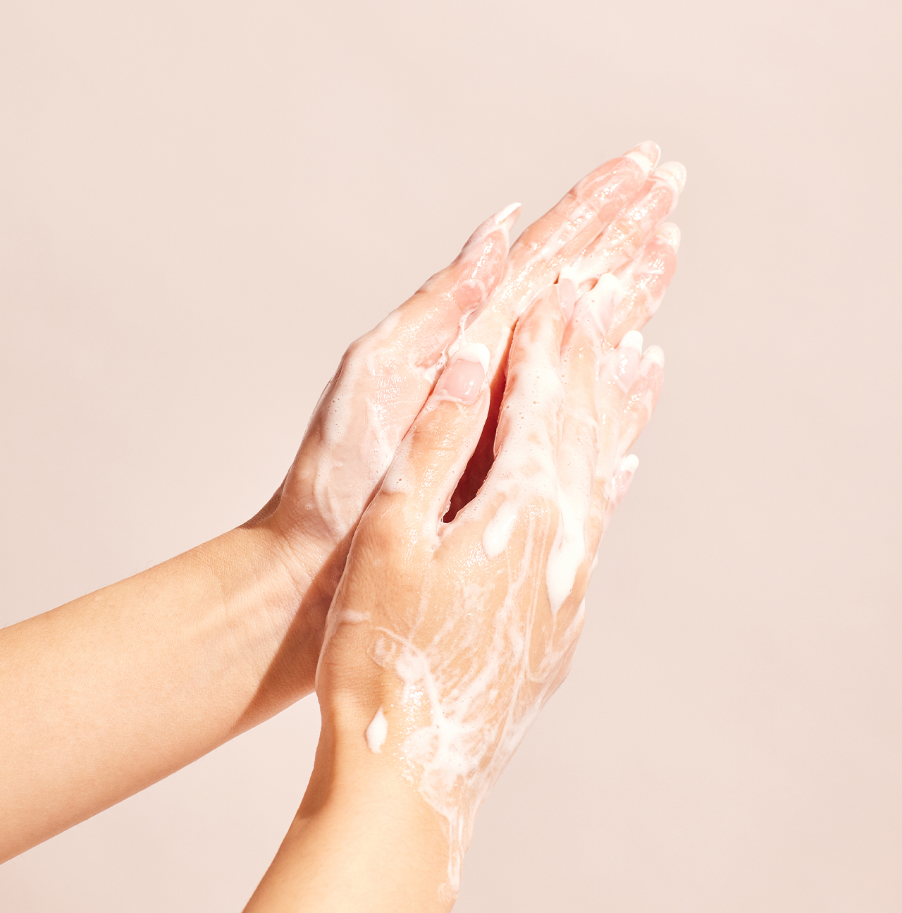 Hand & Body Wash Duo | Davidson Plum
